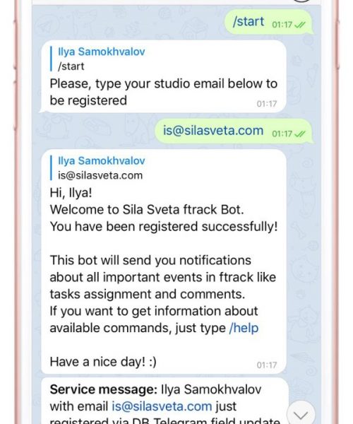 Sila-Sveta_API-customization_2c-500x600
